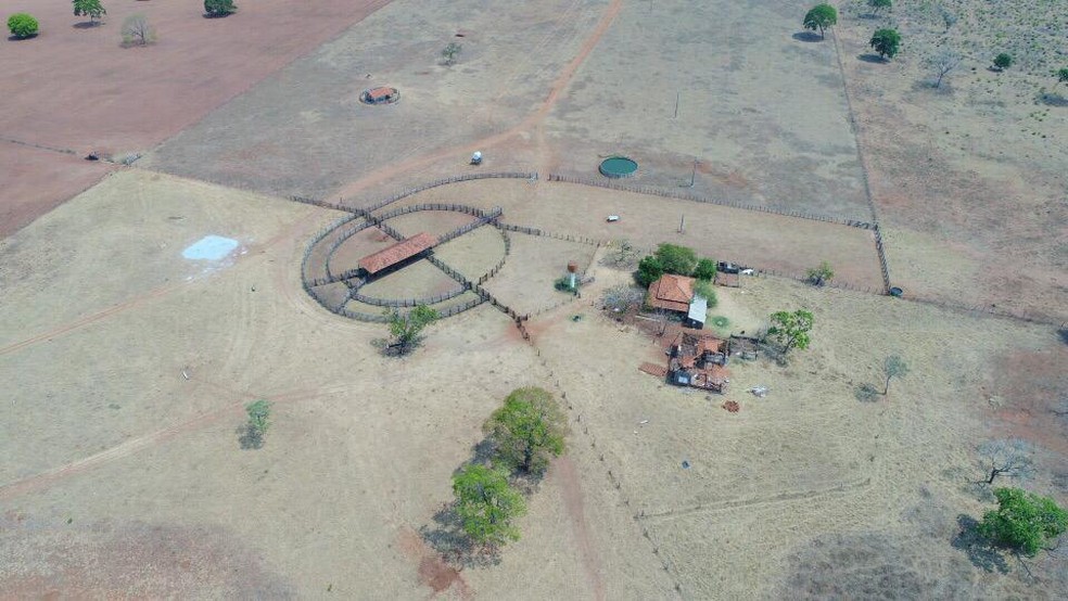 Propriedade Rural de Mônica irá investir na produção de gado sustentável para venda de carne orgânica. — Foto: Mônica Hoop/Arquivo Pessoal