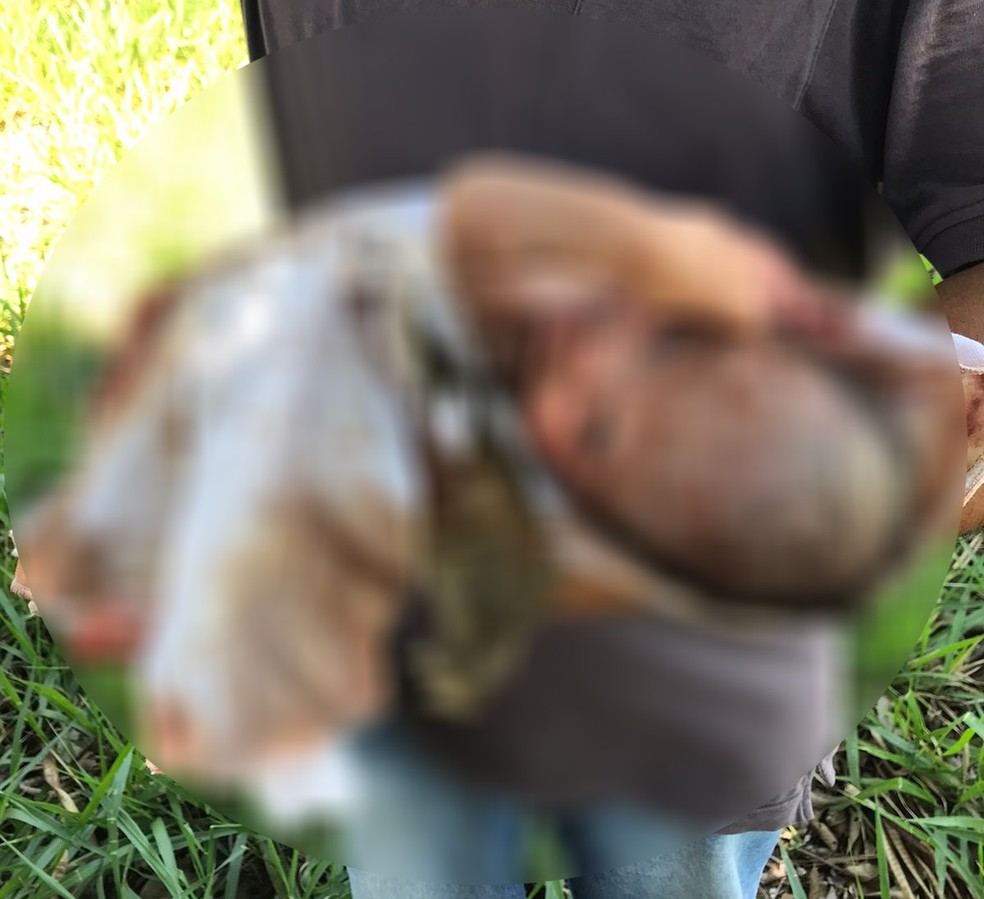 Bebê foi abandonada em área de pastagem em Emilianópolis (SP) — Foto: Túlio Manfrim Redivo