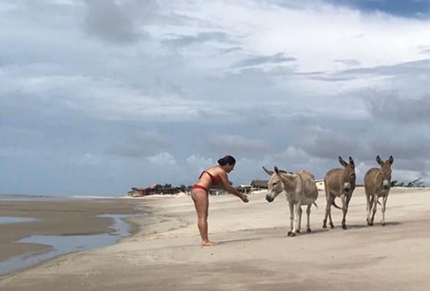 Gloria Pires se diverte com jegues em praia do Piauí (Foto: Reprodução/Instagram)