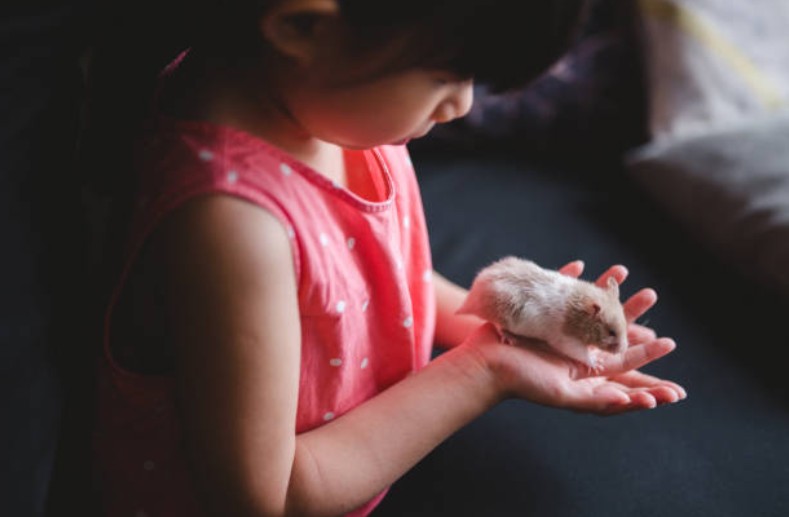 Menina com hamster (Foto: Getty Images)