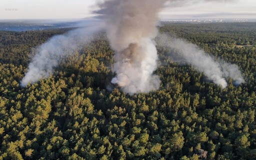 Im Grunewald in Deutschland ist ein verheerendes Feuer ausgebrochen