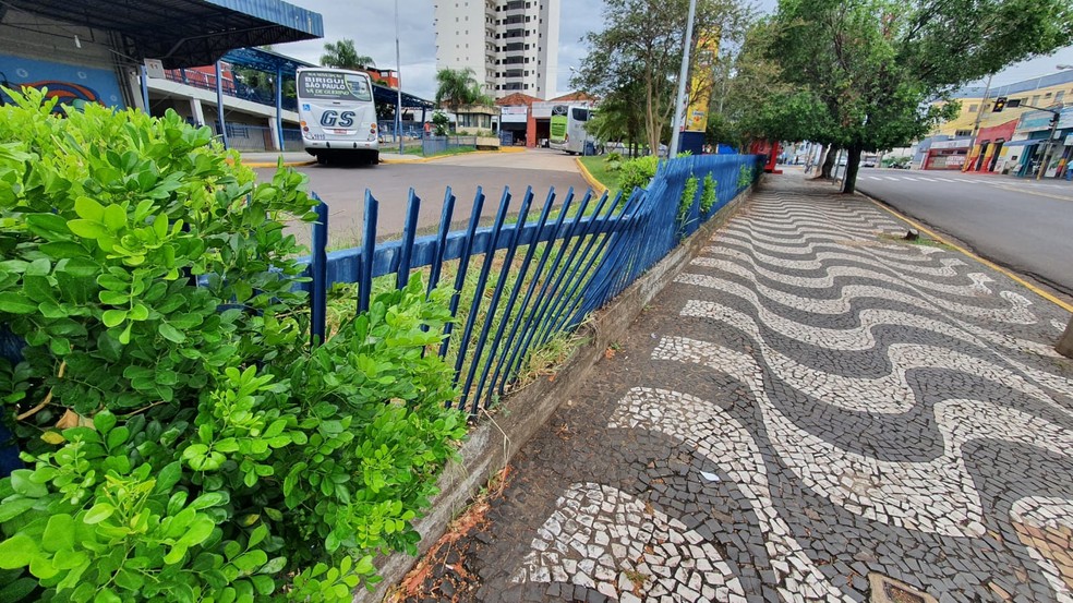 Grade que fica na calçada da Avenida Brasil está torta — Foto: Heloise Hamada/g1