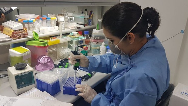 ciência, estudo, teste, laboratório, vacina (Foto: Sumaia Villela/Agência Brasil)