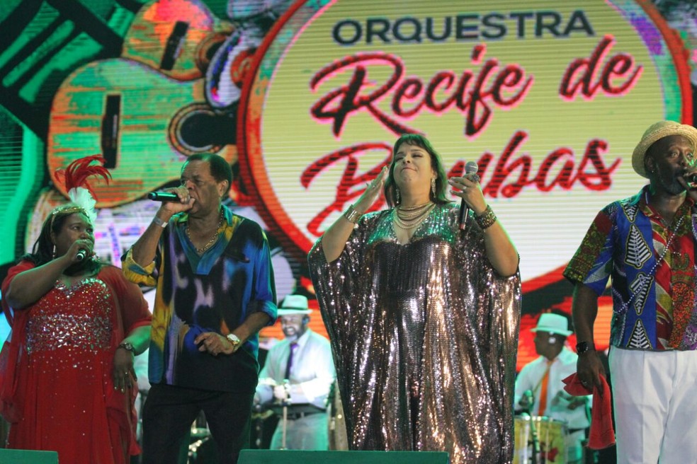 Samba foi um dos ritmos  do palco do Marco Zero neste domingo (11) (Foto: Marlon Costa/Pernambuco Press)