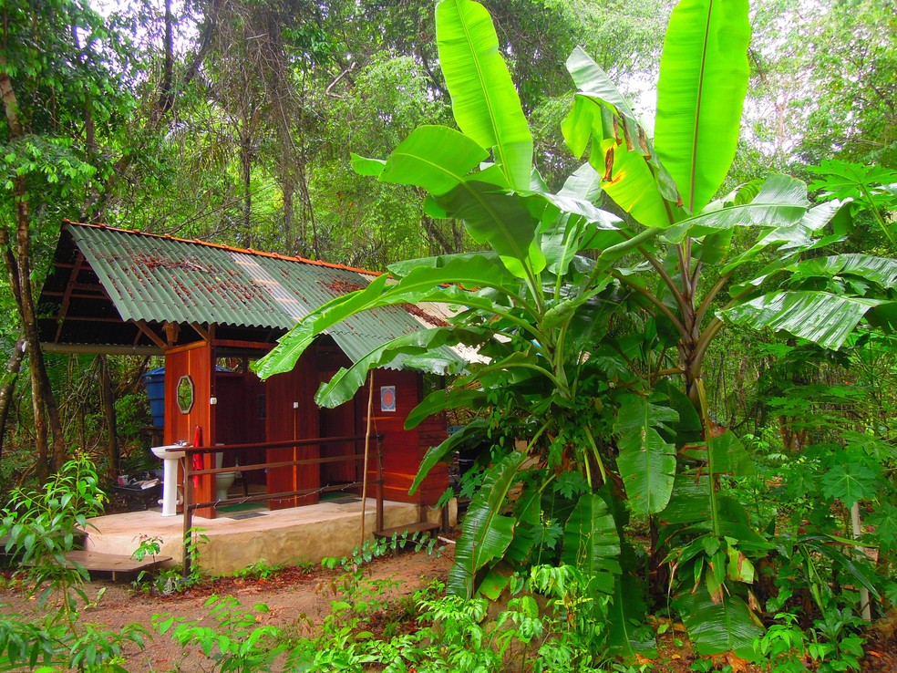  Existem estudos comprovando a qualidade dos alimentos produzidos e a inexistência de microorganismos provenientes dos dejetos.  — Foto: Arquivo Pessoal/ Indios Brasil