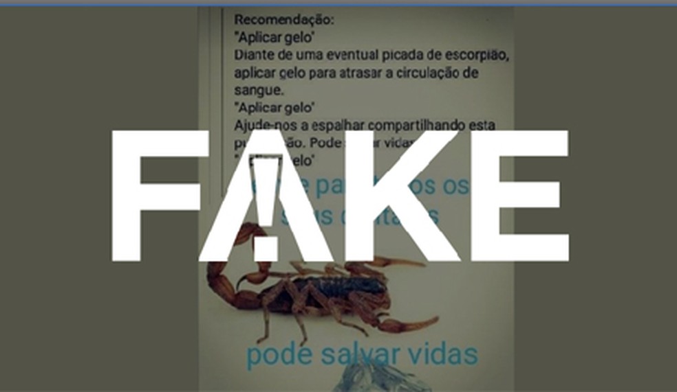&Eacute; #FAKE que &eacute; recomend&aacute;vel aplicar gelo sobre picada de escorpi&atilde;o &mdash; Foto:  G1