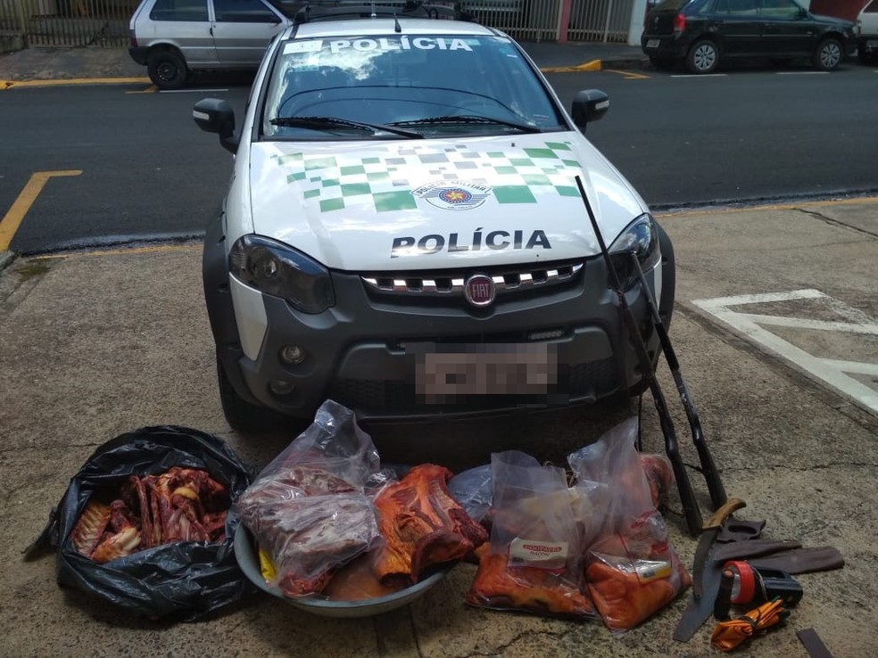 Carne e armas apreendidas pela polícia em Novo Horizonte — Foto: Divulgação/Polícia Ambiental