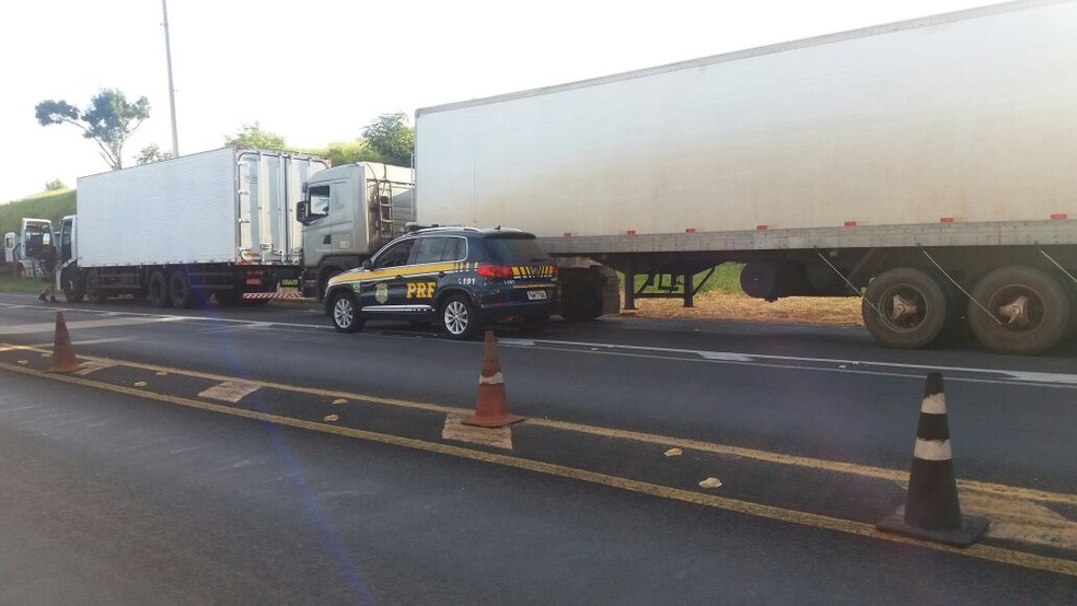 Veículos foram abordados em fiscalização de rotina da PRF (Foto: Polícia Rodoviária Federal / Divulgação )