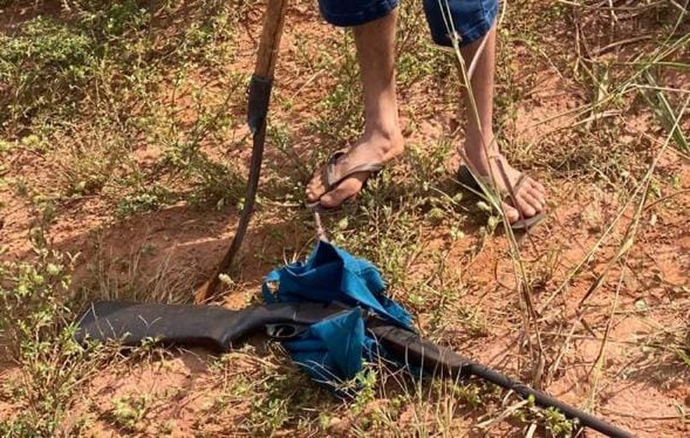 Espingarda roubada da casa das vítimas — Foto: Polícia Militar