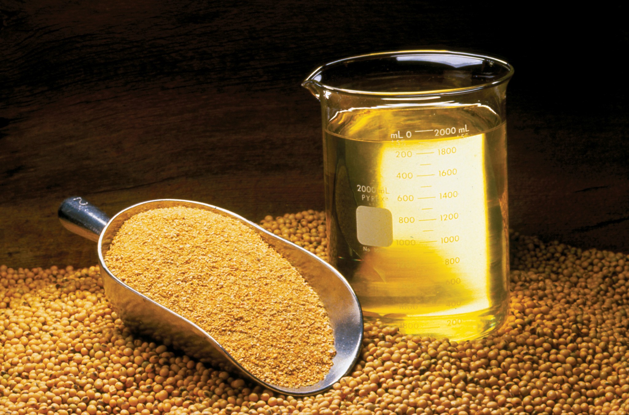derivados-soja-graos-farelo-oleo (Foto: United Soybean Board/CCommons)
