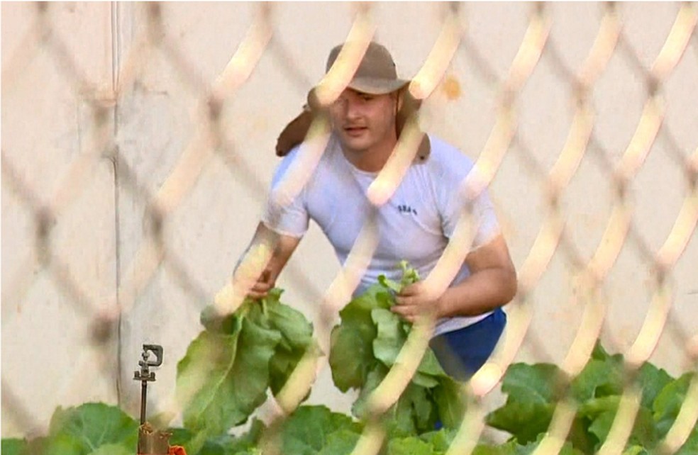 Detento trabalha na horta da Penitenciária de Segurança Média de Colatina, ES — Foto: Reprodução/TV Gazeta