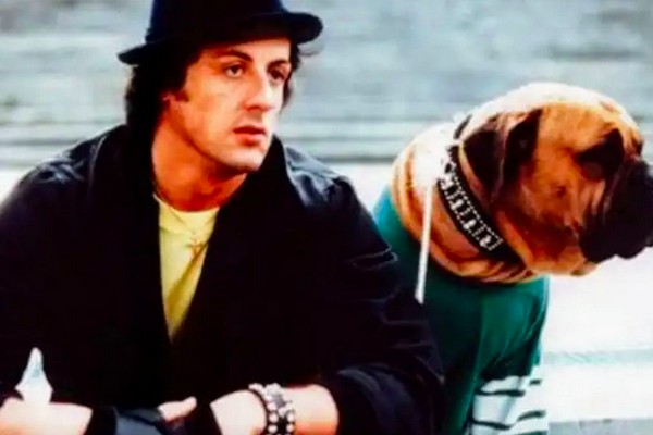 Sylvester Stallone e Butkus (1972-1981)  em cena de Rocky (1976) (Foto: Reprodução)