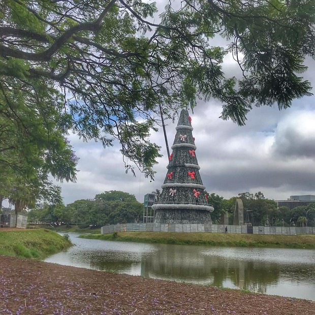 Árvore de natal do ibirapuera (Foto: Instagram/ Reprodução)
