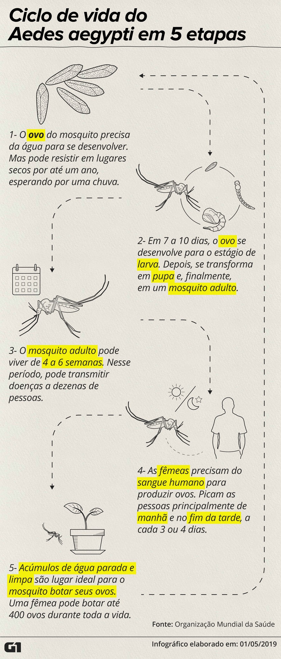Por mais que se estudem novas formas de combater o Aedes aegypti, as medidas clássicas não podem ser relaxadas, eliminando toda possível fonte de água parada — Foto: Igor Estrella/G1