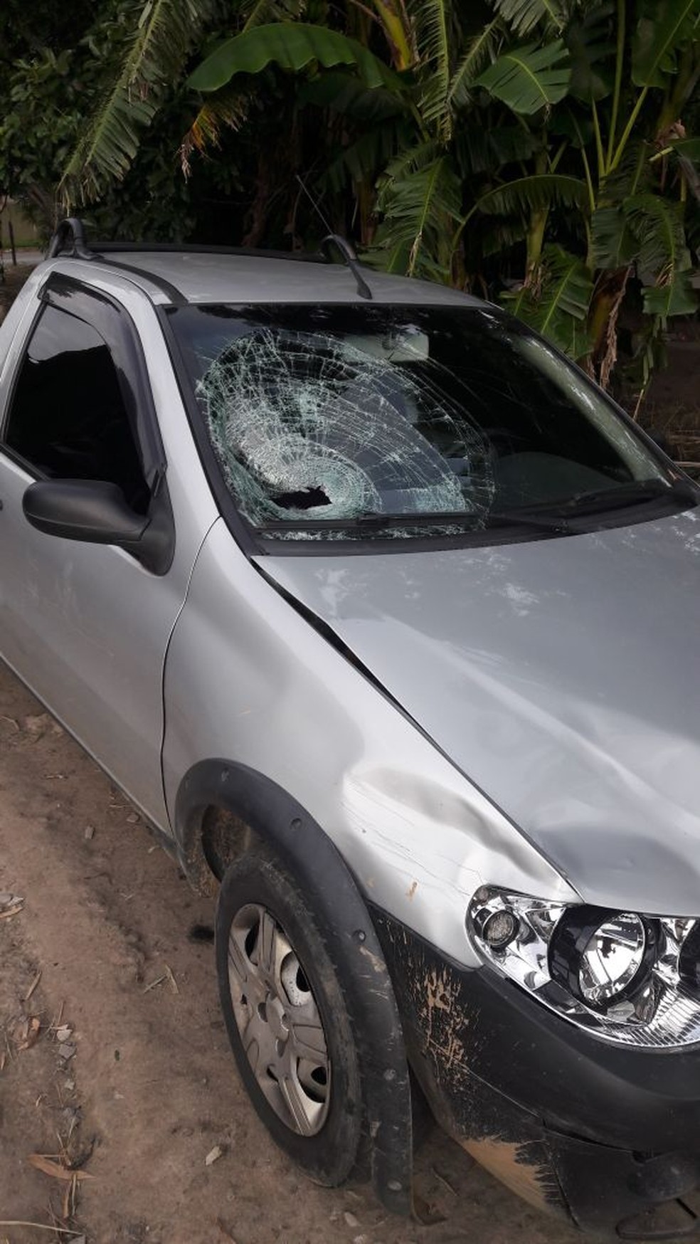 Motorista embriagado é preso após matar homem atropelado na RJ-155, em Barra Mansa (Foto: Divulgação/PM)