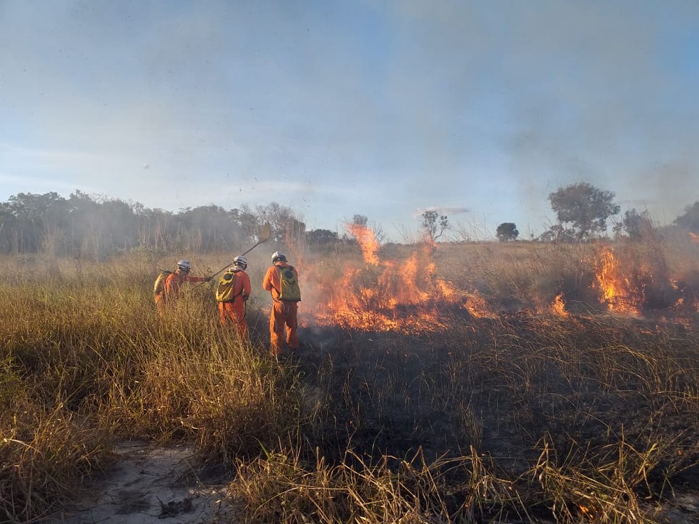 Incêndios destroem vegetação em bairros de Luís Eduardo Magalhães; FOTOS |  Bahia | G1