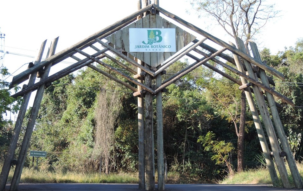 Jardim Botânico está fechado ao público e os eventos serão online — Foto: Alan Schneider/TV TEM/ Arquivo 
