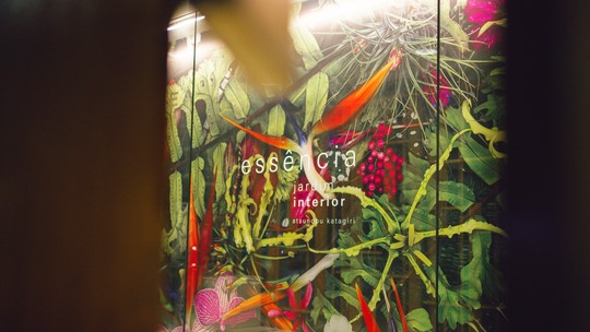 Artista japonês explora harmonia de plantas brasileiras em exposição
