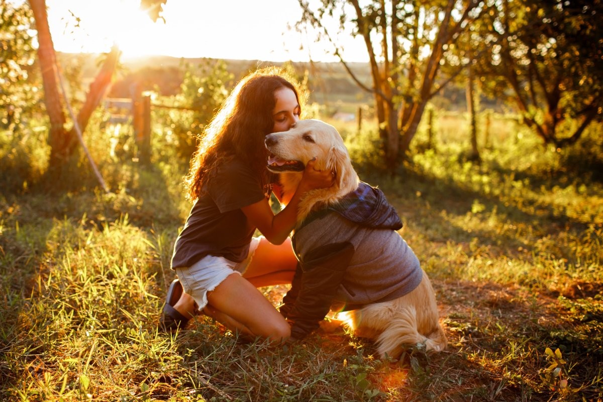 O golden retriever é uma das raças mais amistosas de cachorros (Foto: Unsplash/ Helena Lopes/ CreativeCommons)