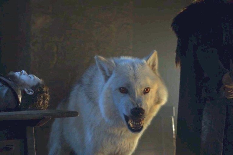 DNA revela como lobos pré-históricos de Game of Thrones realmente eram (Foto: Reprodução Game of Thrones)
