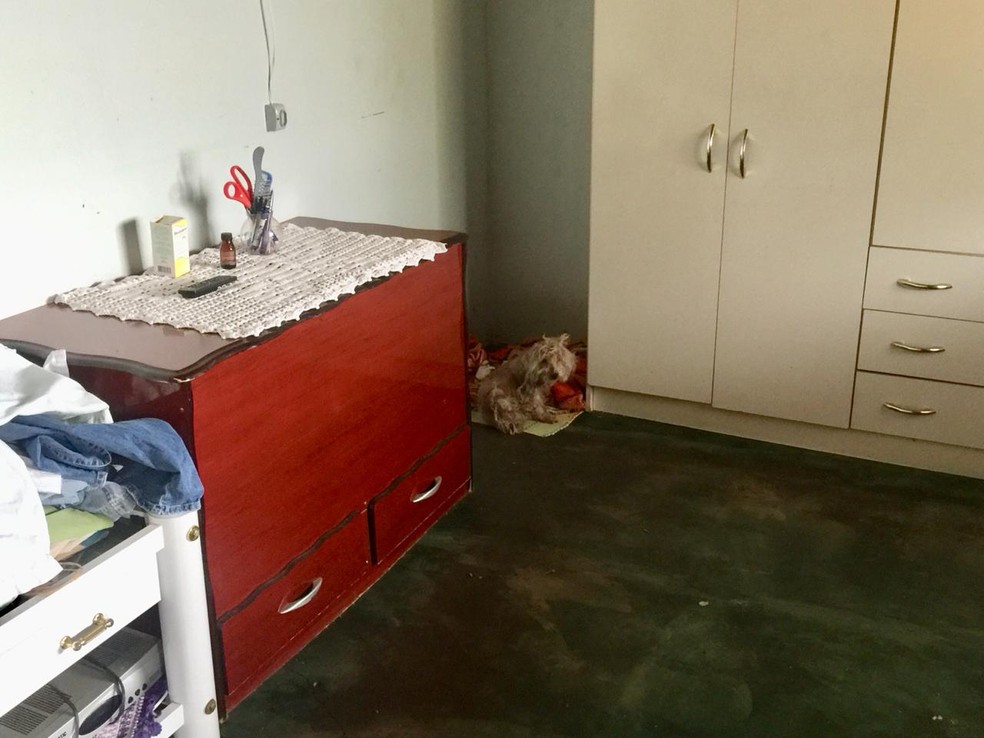 Cachorrinha Sandy no cômodo onde fica a caminha dela — Foto: Flávio Dias/TV Morena