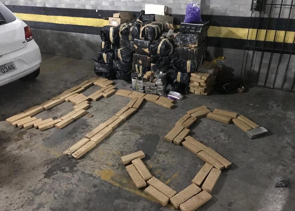 Mais de meia tonelada de maconha foi apreendida em Salvador â€” Foto: SSP/ DivulgaÃ§Ã£o