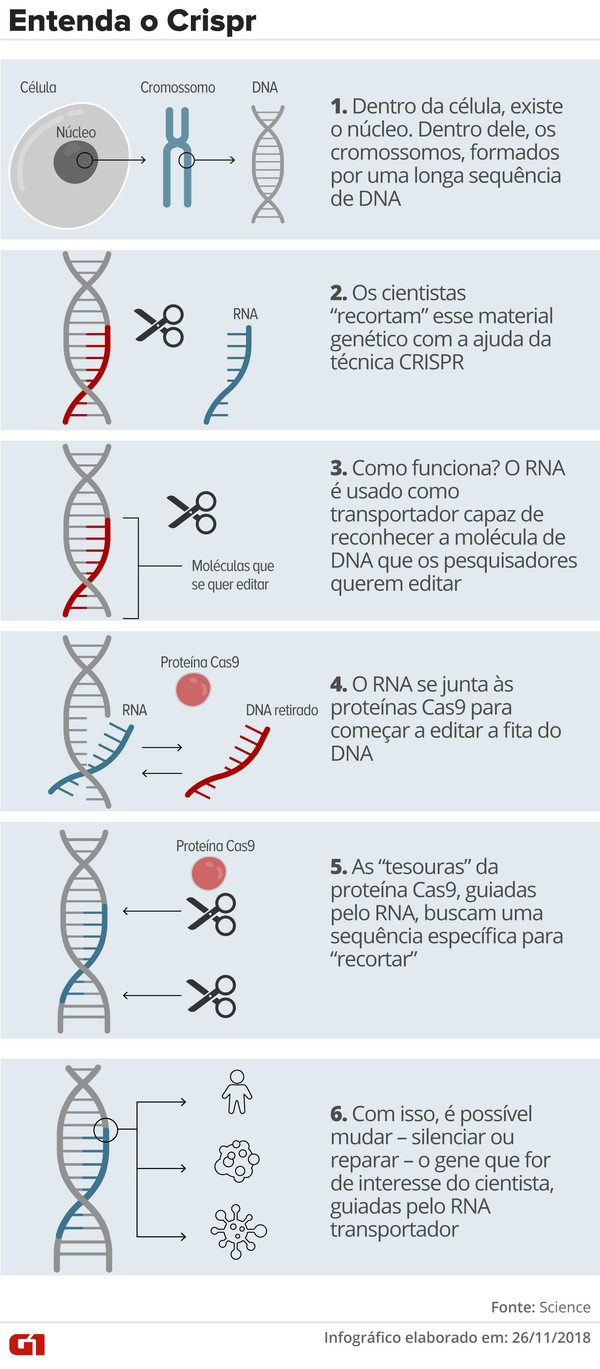 entenda o crispr a tecnica de edicao