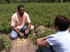 Mudar radicalmente forma de produzir é o desafio da agricultura orgânica