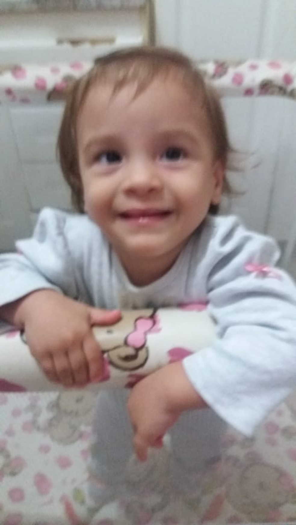 Isis Helena, de 1 ano e 10 meses, que desapareceu na manhã desta segunda-feira (2) em Itapira (SP) — Foto: Arquivo pessoal