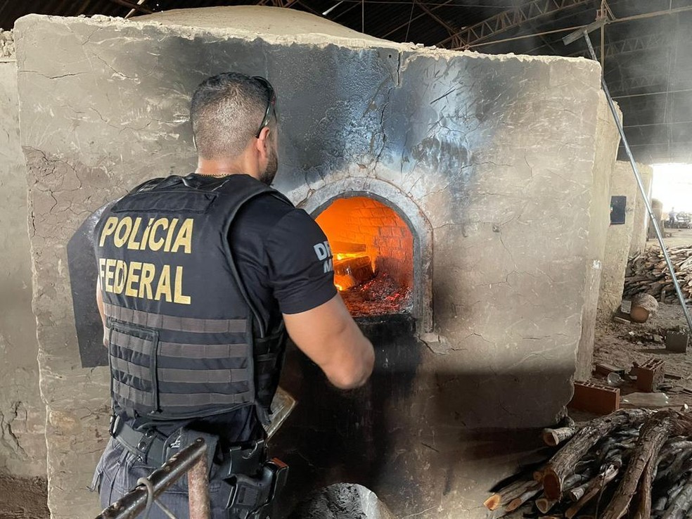 Polícia Federal realiza incineração de mais de 2,6 toneladas de drogas apreendidas no Ceará. — Foto: Polícia Federal/ Divulgação