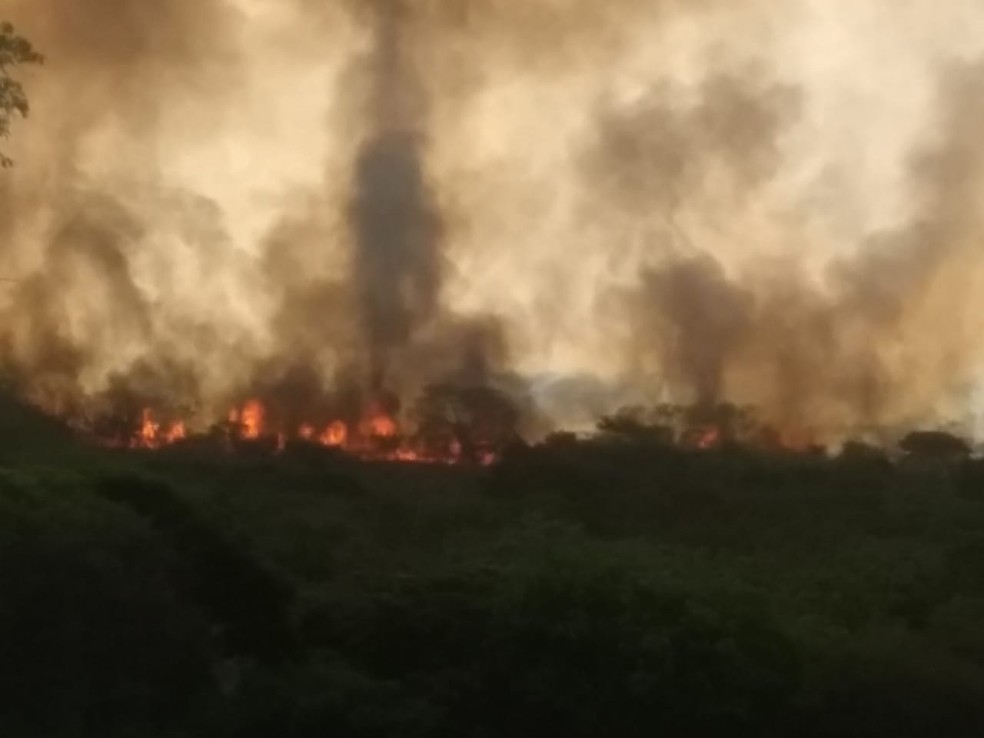 Incêndio atingiu o Parque Estadual do Rio do Peixe, em Ouro Verde (SP) — Foto: Polícia Militar Ambiental