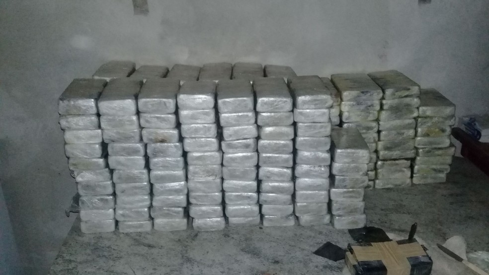 Carregamentos de drogas descobertos pela Polícia Civil  — Foto: Divulgação / Polícia Civil 