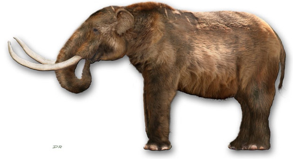 Recriação de mastodonte, espécie que pertence à família dos mamutes — Foto: Dantheman9758/Creative Commons