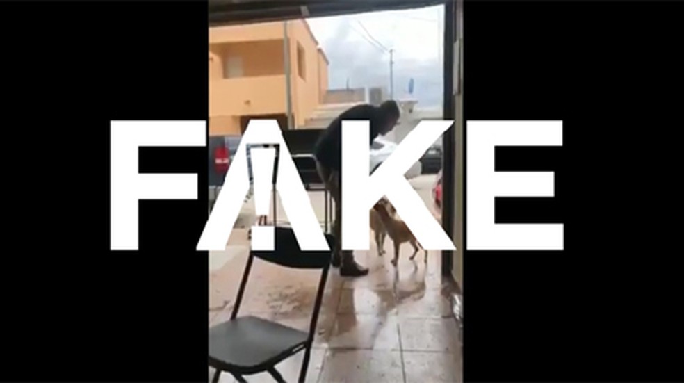 É #FAKE que vídeo em que homem dá facada em cachorro foi gravado no Brasil — Foto:  G1