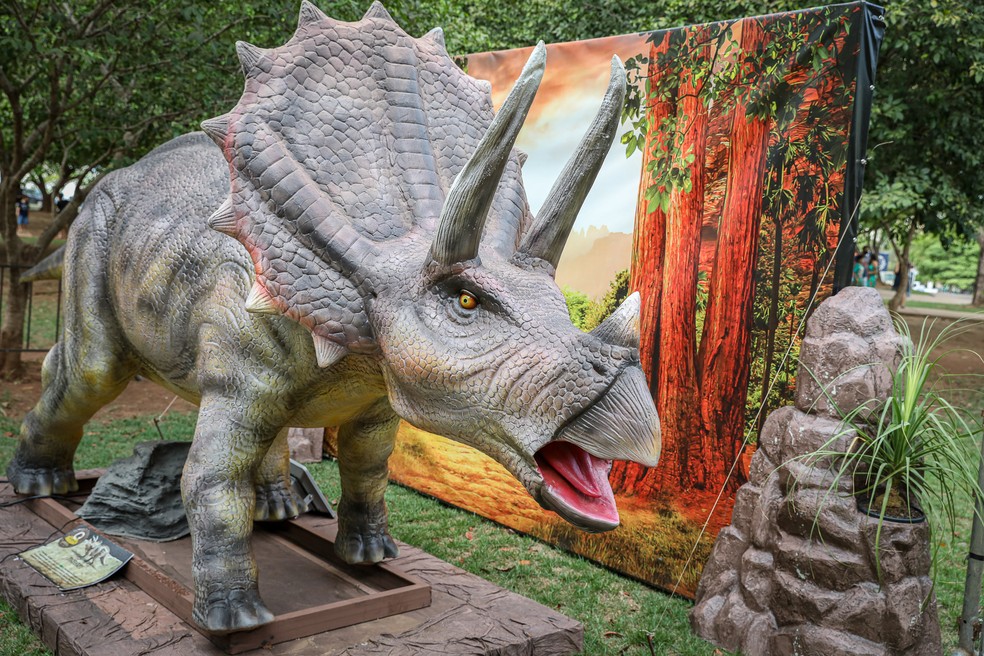 Exposição Vale dos Dinossauros, em Cuiabá   — Foto: Michel Alvim/Secom-MT
