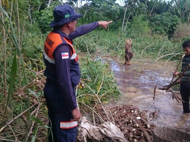 Produção de mandioca foi inundada pelo rio em ⁠⁠⁠Guajará no início deste mês (Foto: Divulgação/Defesa Civil)