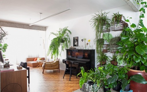 7 ideias para começar a ter plantas dentro de casa - Casa e Jardim |  Paisagismo