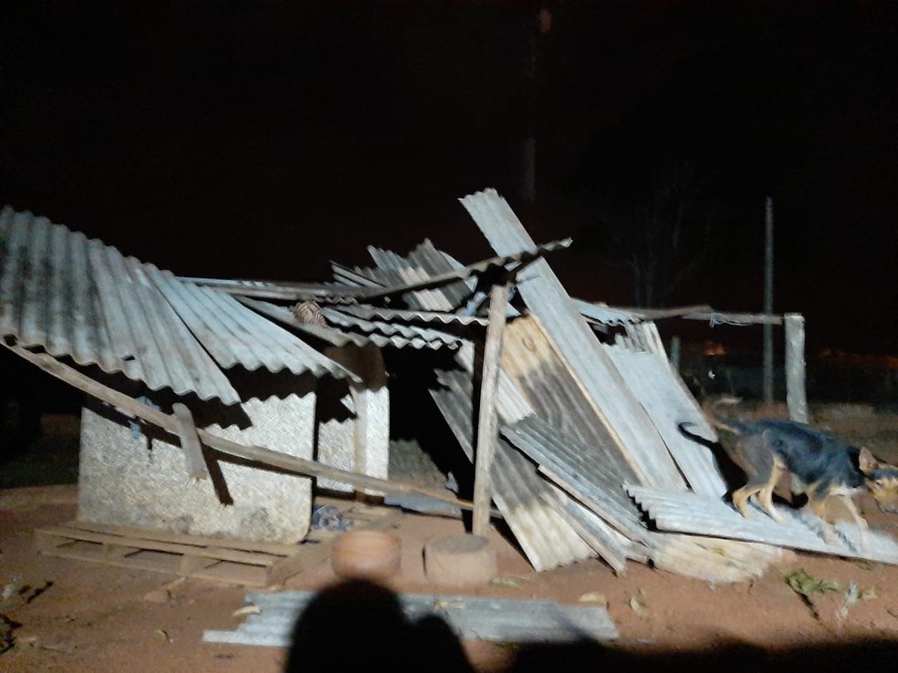 Temporal atingiu abrigo de animais em Martinópolis — Foto: Ana Paula Leocádia Puro/Cedida 