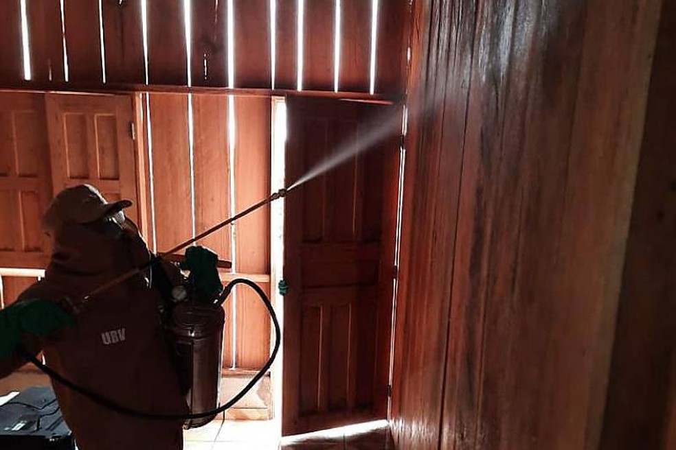 Aplicação de inseticida na parede para combater o mosquito Anopheles — Foto: Agência Pará/Divulgação