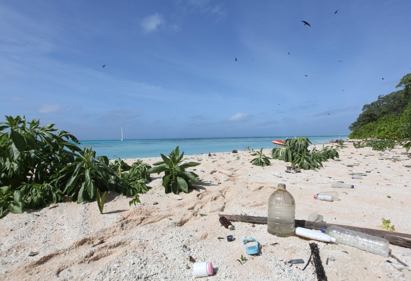 Lixo plástico encontrado na ilha deserta West Fayu, que os Shurmann recolheram  (Foto: divulgação )