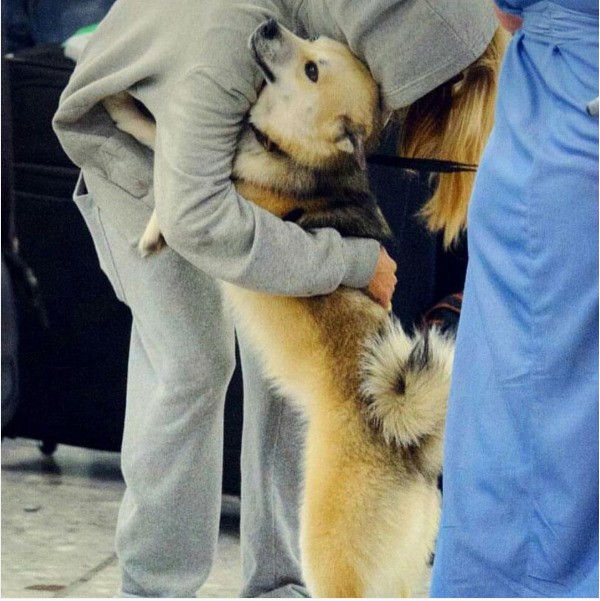 A atriz Cara Delevingne e seu cãozinho Leo (Foto: Instagram)