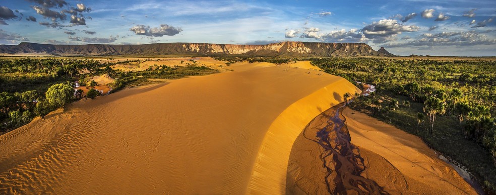 Dunas do Jalapão e ao fundo a Serra do Espírito Santo — Foto: Lester Scalon/Avis Brasilis