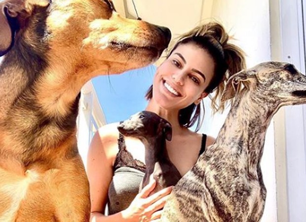 Letícia Lima e seus pets Bruno. Juju e Bibi (Foto: Foto: Reprodução/Instagram)