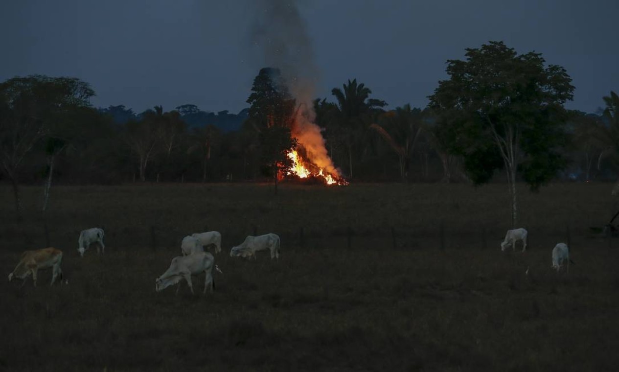 Em julho do ano passado, o estado de Rondônia registrou 836 focos de queimadas e incêndios, praticamente o dobro do registrado no mesmo mês de 2020 (428 focos) — Foto: Edilson Dantas / Agência O Globo