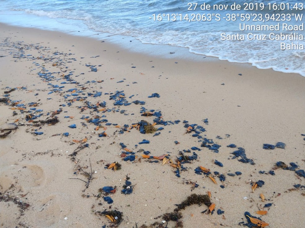 Cerca de 800 kg de óleo foram recolhidos de praia no sul da Bahia — Foto: Secretaria do Meio Ambiente de Santa Cruz Cabrália/ Divulgação