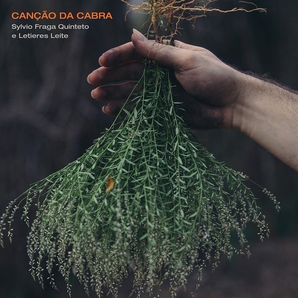 Capa do álbum 'Canção da cabra', do Sylvio Fraga Quinteto e Letieres Leite — Foto: Divulgação