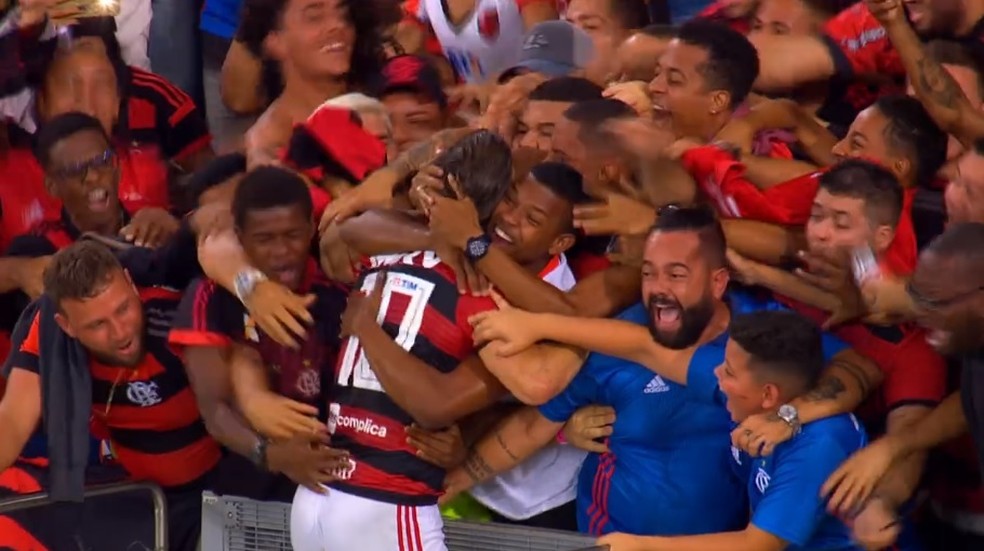 Diego comemora o gol com a torcida; Rafael e o enteado Caio est&atilde;o de azul &mdash; Foto: Reprodu&ccedil;&atilde;o / TV Globo