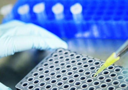 Equipamentos e técnicas do agro têm sido usados na realização de testes para detecção do novo coronavírus (Foto: Getty Images)