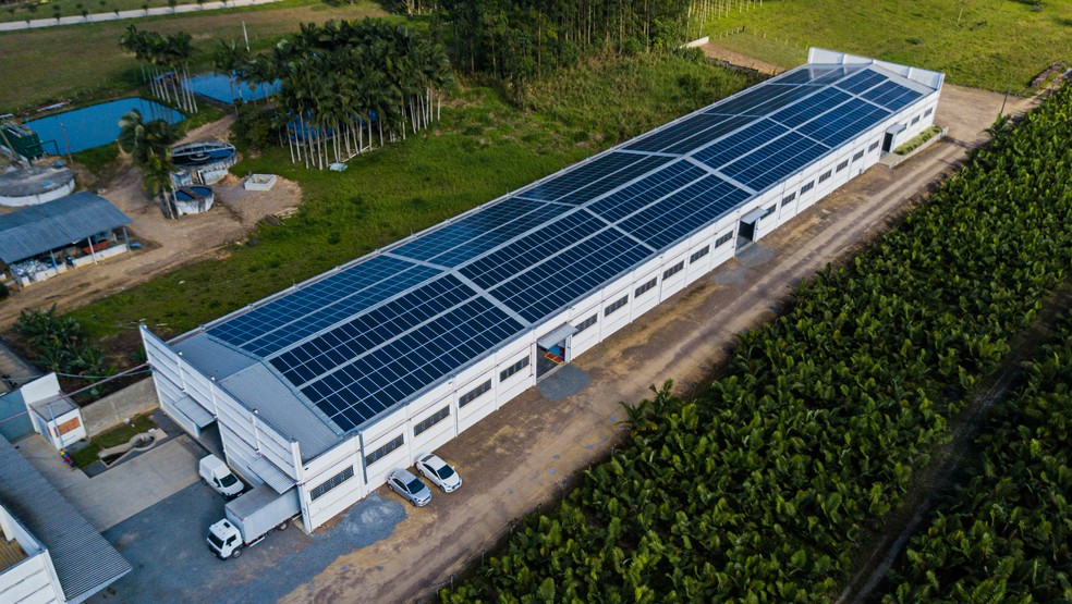 Empresas que optam por práticas sustentáveis, como o uso de energias limpas e renováveis, tem tido preferência pelos consumidores. — Foto: Divulgação/Topsun Energia Solar