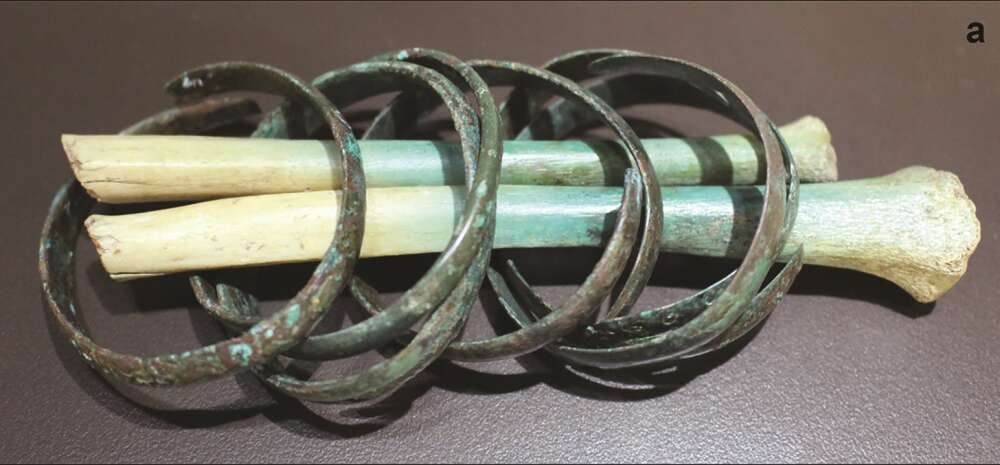 Ossos mostram sinais de amputação e foram encontrados junto com cinco pulseiras  (Foto: © Antiquity Publications Ltd)